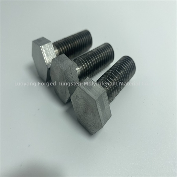 tantalum bolts ug nuts (4)