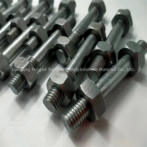 titanium bolt screw (5)