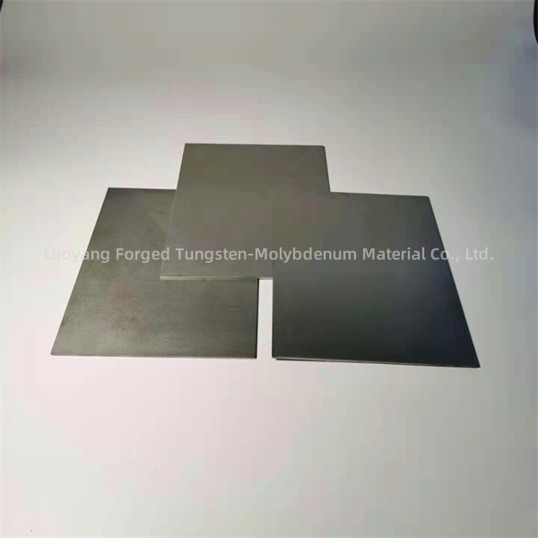 tantalum plate (4)